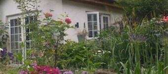 The Little House in Hull
PET FRIENDLY 
Sanctuary in the City