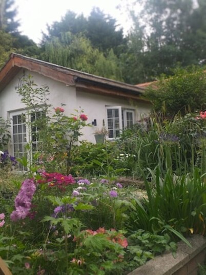 The Little House in Hull
PET FRIENDLY
Sanctuary in the City