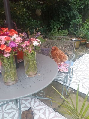 A round metal table with a mesh chair, surrounded by potted plants and a variety of flowers in clear glass vases.