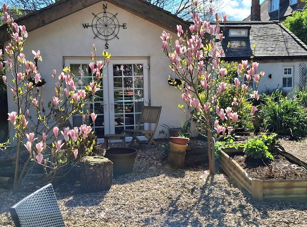 A garden with flowering trees, a compass sign, a wooden bench, and a house with a window.