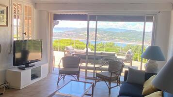 Televisión, chimenea, reproductor de DVD, mesa de ping pong