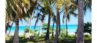 Beachfront Duplex Apt+Private Jacuzzi+2 QBed+2bath+AC+Wifi+HotWater+Pet Friendly