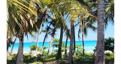 Beachfront Duplex Apt+Private Jacuzzi+2 QBed+2bath+AC+Wifi+HotWater+Pet Friendly