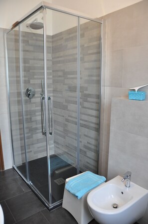 Shower, hair dryer, bidet, towels