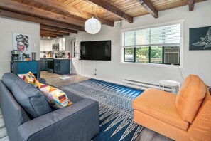 Smart TV, fireplace, books