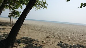 Una playa con un árbol en primer plano y una vista despejada del mar al fondo.