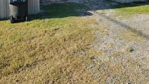 A mobile home with a covered porch and a small outdoor area. - Run Away Charters fishing lodge (Buras)