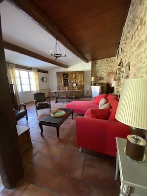 TV, video games, DVD player, table football - Magnificent Provencal village house (Mirabel-aux-Baronnies)