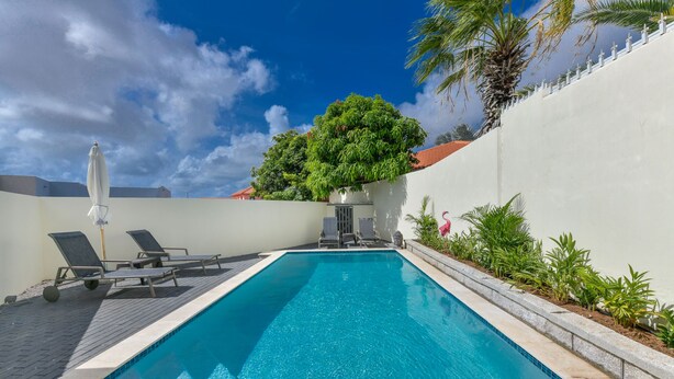Piscina rectangular con borde de azulejos, rodeada por un muro blanco y una palmera.