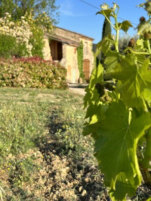 Detalhe da fachada