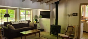 Smart TV, chimenea y libros 