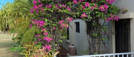 住宿正面