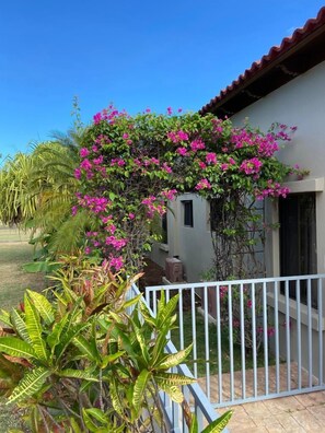Front of property - Casa Dulce Vida Gran Pacifica Resort (Villa El Carmen)