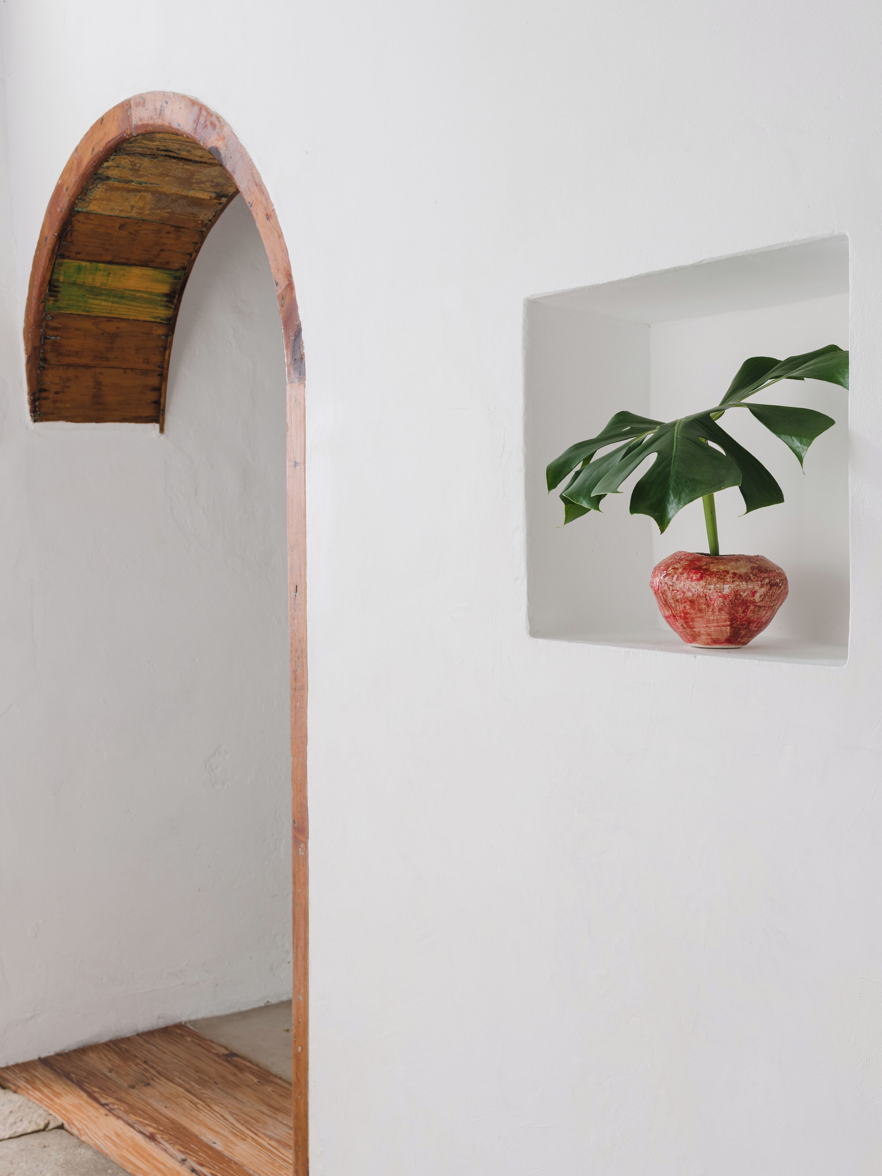 Una habitación con un arco de madera, una pared blanca y una planta en maceta con hojas verdes grandes.