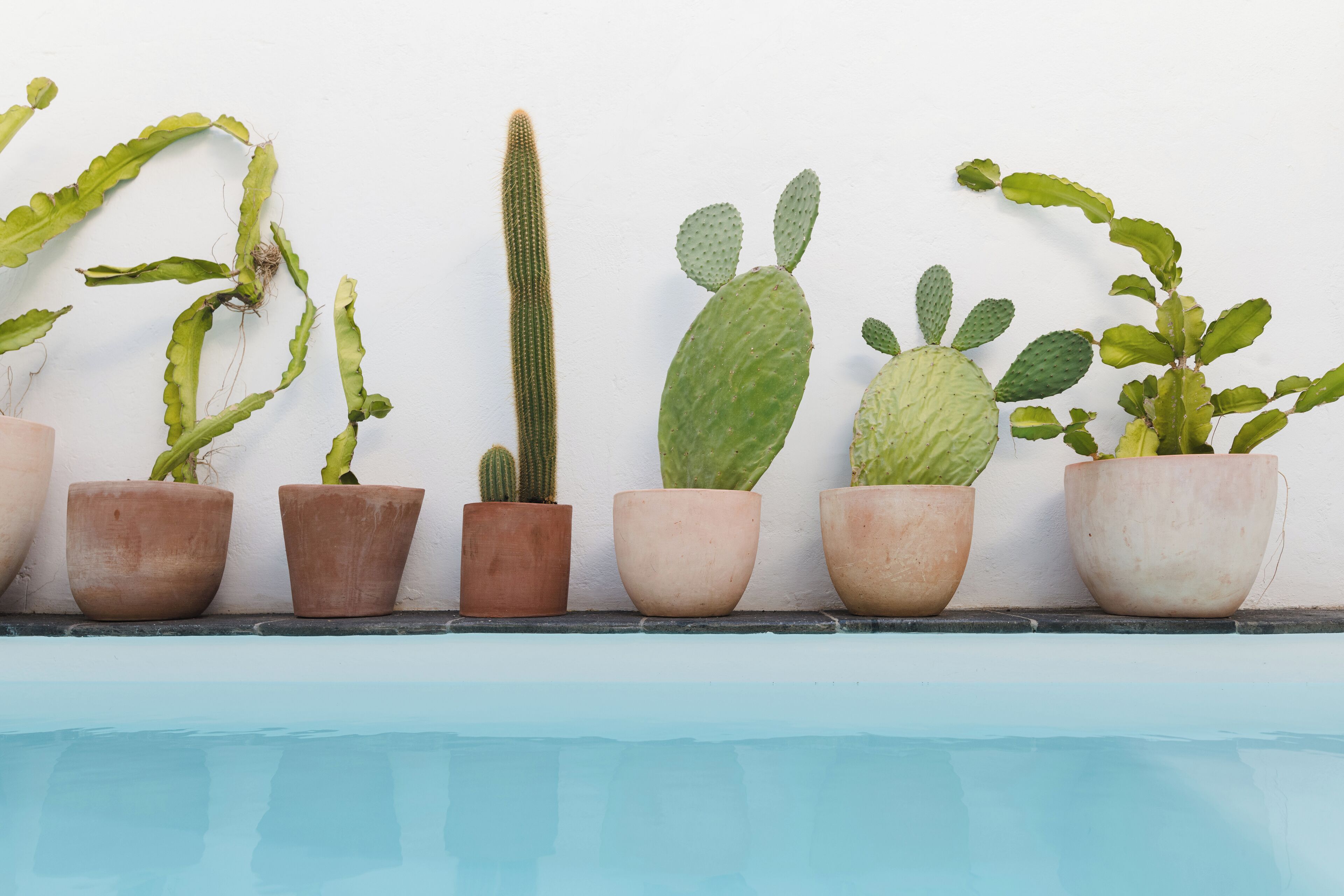 Foto - Casa de las Flores - Hotel Boutique Lanzarote