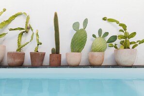 Suite El Patio | Private pool - Casa de las Flores - Hotel Boutique Lanzarote (Teguise)