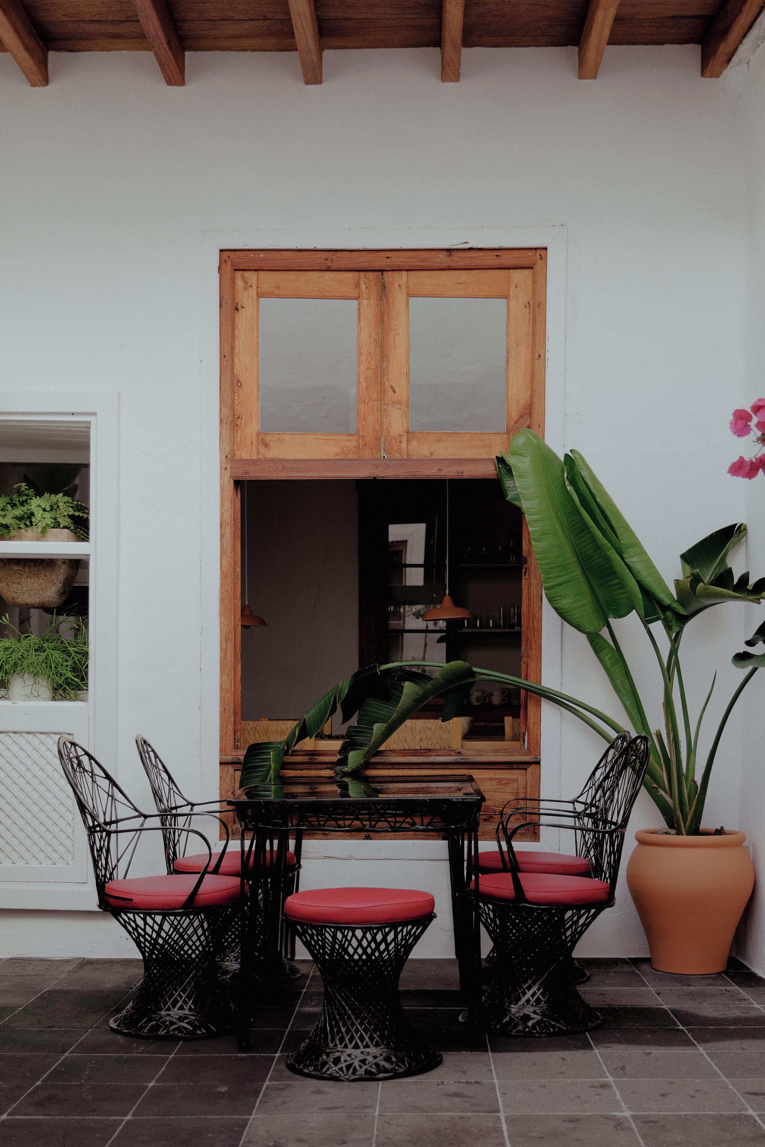 Un espace patio avec une table en bois et quatre chaises, une grande plante en pot et une fenêtre avec un cadre en bois.