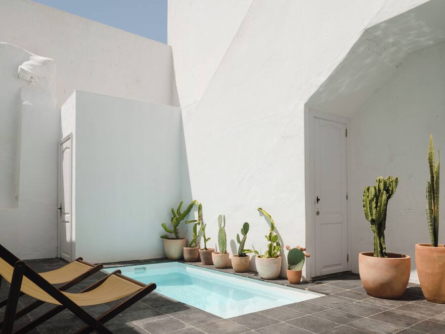 Un pequeño área de piscina con algunos cactus en macetas, una puerta y un banco.