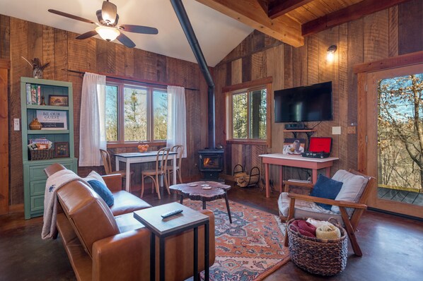 Télévision, cheminée, livres, médiathèque