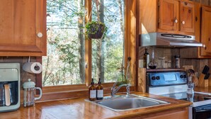 Une cuisine avec des meubles en bois, un évier en acier inoxydable, une cuisinière et une plante suspendue.