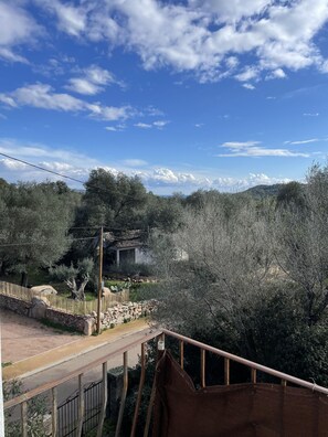 Property grounds - House in the countryside, 7 minutes from Porto-Vecchio (Porto-Vecchio)