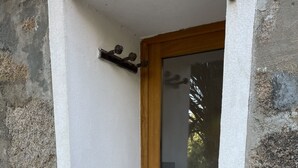 Una puerta de madera con un panel de vidrio, un escalón que lleva a ella y una pared blanca con superficie texturizada.