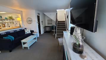 TV connectée, cheminée, lecteur de DVD, livres