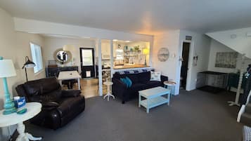 TV connectée, cheminée, lecteur de DVD, livres