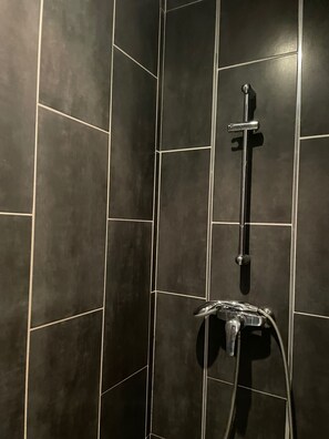 Regadera, secadora de cabello, papel de baño 