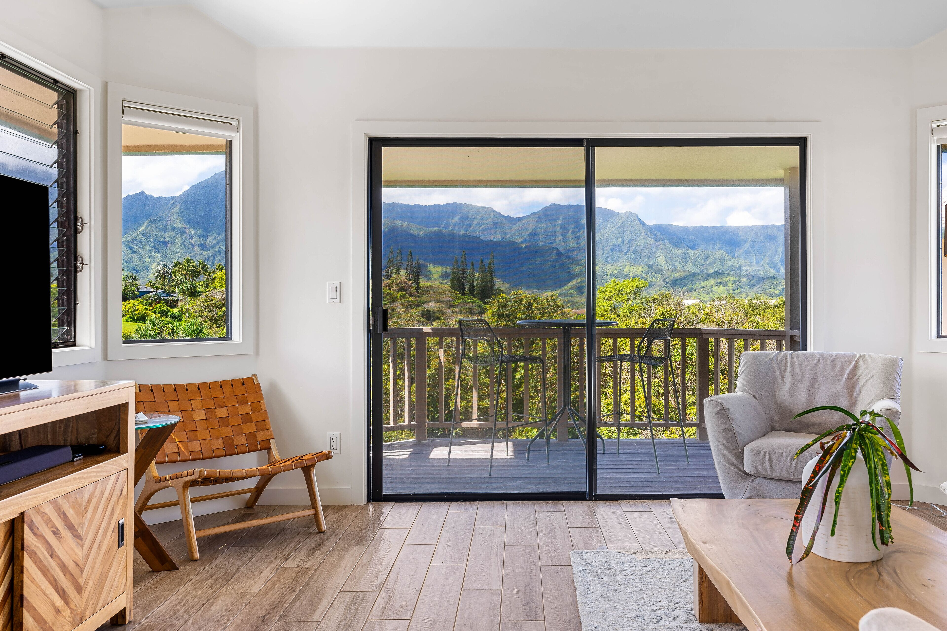 Smart TV, DVD player, books