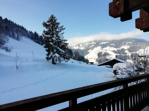 Chalet, parking, tv, 130m², Arêches-Beaufort