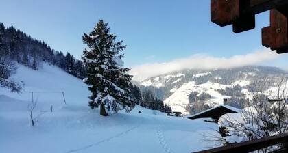 Chalet, parking, tv, 130m², Arêches-Beaufort