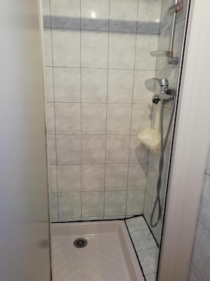 A shower with a glass door, a handheld showerhead, and a handheld shower attachment.