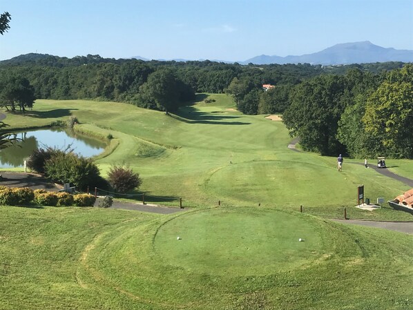 Golf