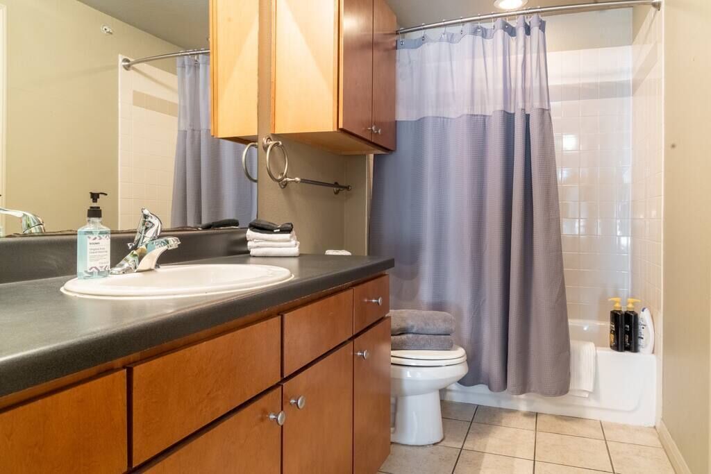 Hårføner, håndklær, såpe og sjampo