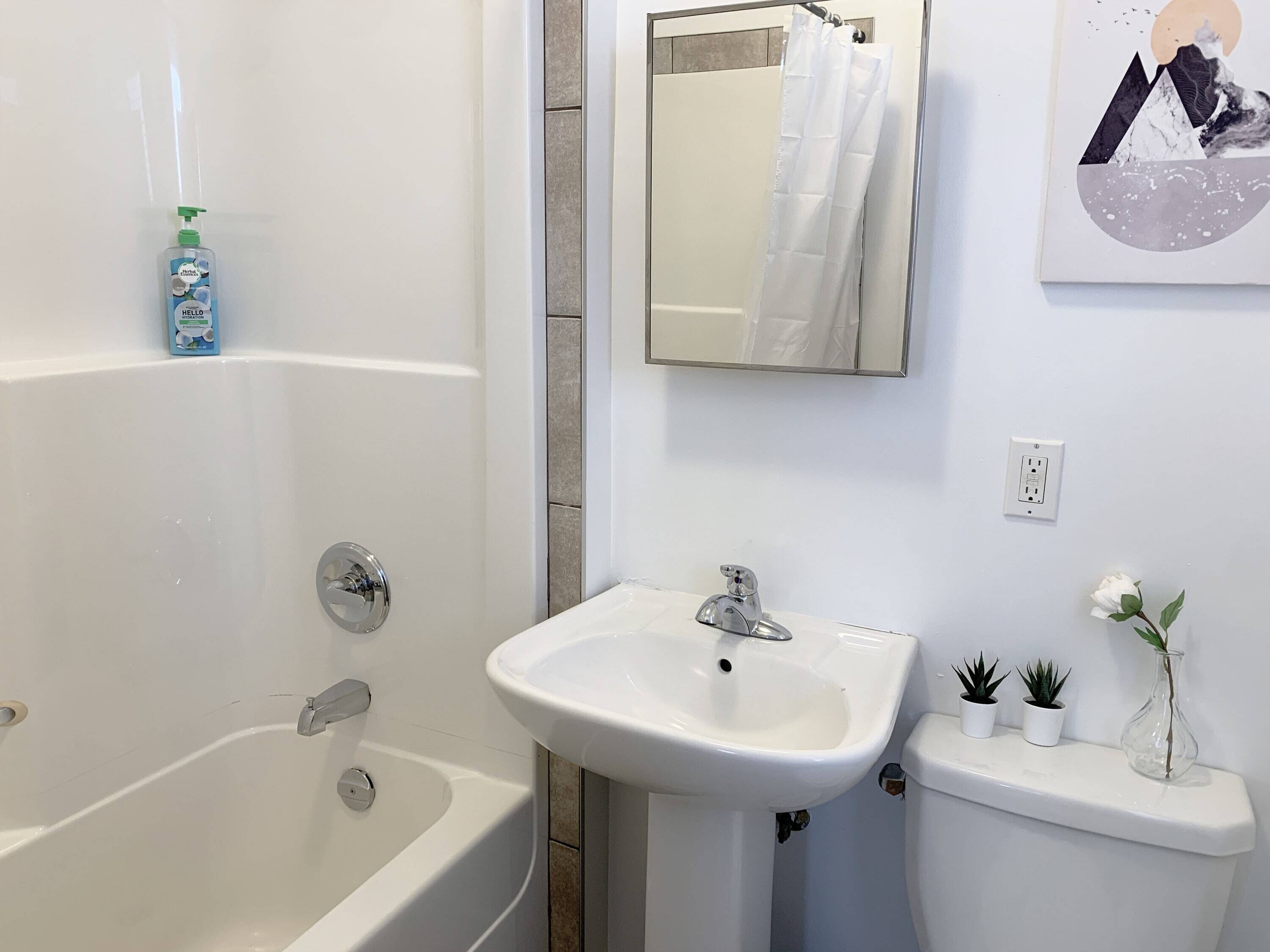 Bathtub, hair dryer, towels
