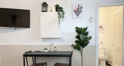 Cozy Bachelor Condo, Downtown, WiFi & Smart TV