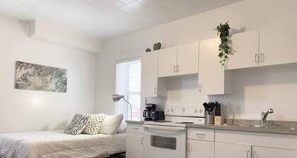 Cozy Bachelor Condo, Downtown, WiFi & Smart TV