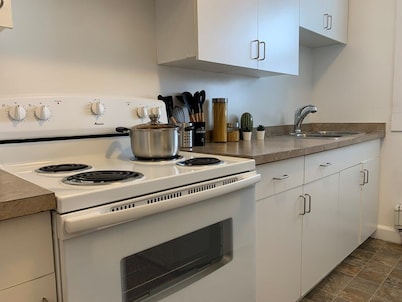 Large 1-Bdrm Condo, Downtown, WiFi & Smart TV ✨