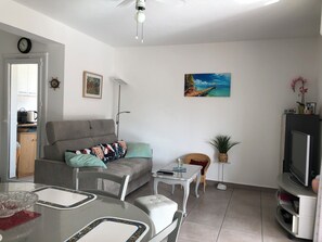 TV, DVD player, livros