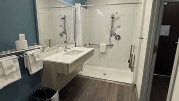 Queen Suite w/ Dishwasher (Dishes/Cookware Included) Accessible Roll-in Shower | Bathroom