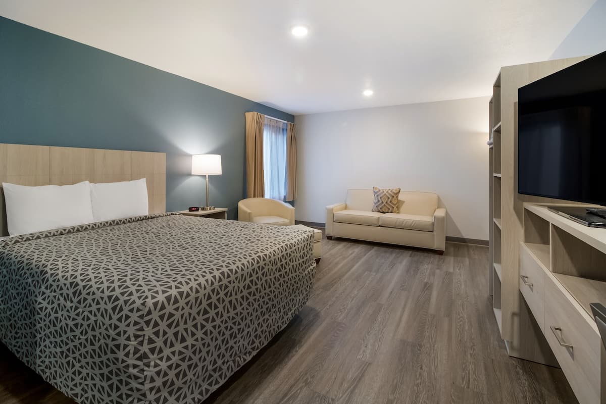 Une chambre d’hôtel avec un lit, un canapé, une télévision et un bureau.
