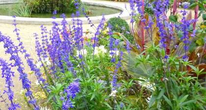 ⭐ Between two words ⭐ Near Disneyland Paris ⭐ WiFi ⭐
