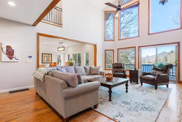 TV, fireplace, streaming services