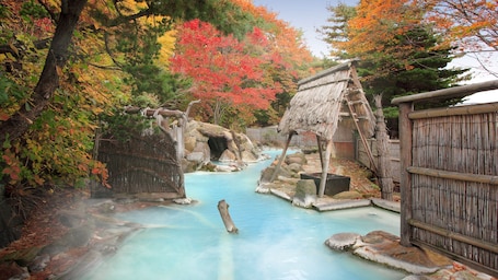 Pool. Takayu Onsen Adachiya Ryokan