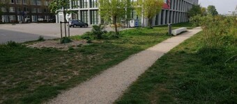 All you need a comfy place