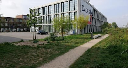 All you need a comfy place