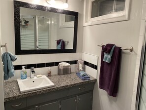 Douche, séchoir à cheveux, serviettes fournies, savon