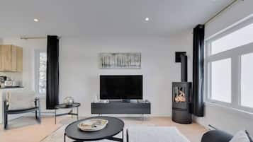 Fernseher, Kamin