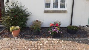 A white building with a window and a door. There are four potted plants in front of the building. - Ground Floor Cornish Retreat and Courtyard Garden (Bodmin)